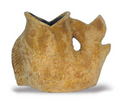 Heads Up Fish Planter