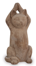 Meditating Cat