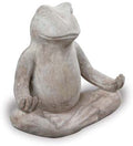Zen Frog - Mterra
